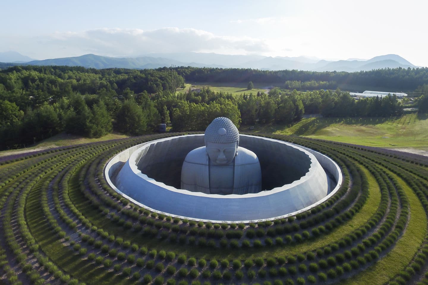 Hill of the Buddha
